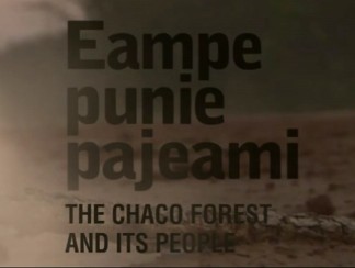 http://intercontinentalcry.org/wp-content/uploads/Eampe-Punie-Pajeami-The-Chaco-Forest-and-Its-People.jpg
