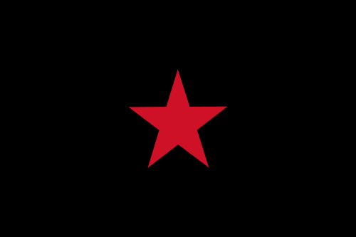 Flag of the Zapatista Army of National Liberation