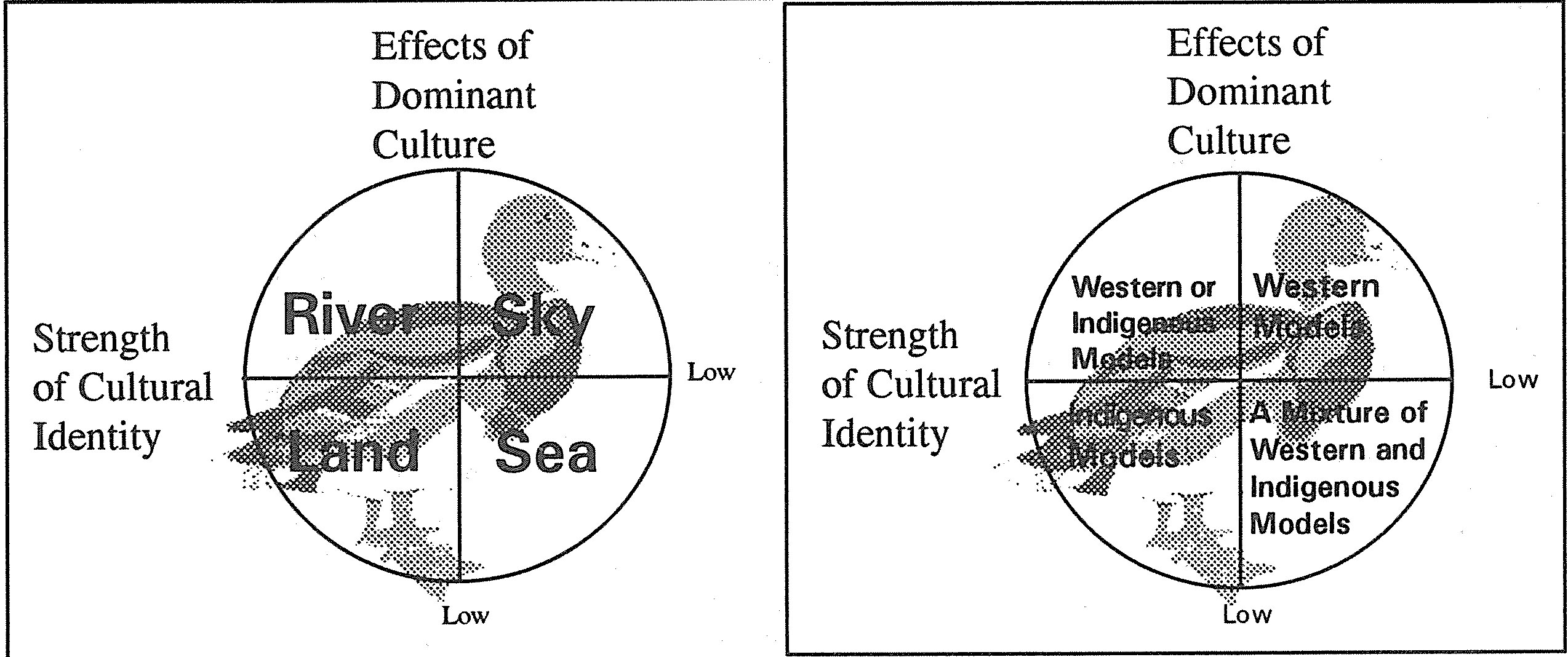 The Putangitangi model. Davis et al (1993)