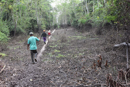 Kukama community leaders walk along the pipeline through a marshy area. (Photo: Barbara Fraser)