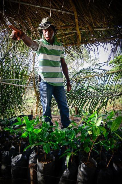Garifuna agronomist Henry Morales explains to youth about reforesting the landscape with mahogany seedlings (Photo: Steve Pavey)