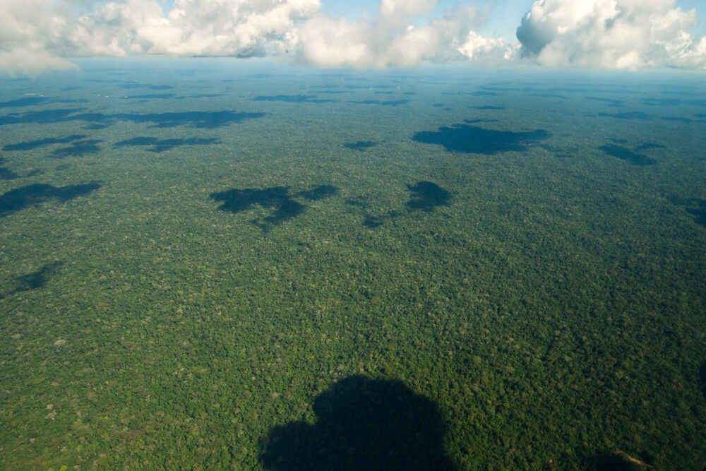 
Vista aérea del Amazonas. Foto:Toni Fish/flckr. Algunos Derechos Reservados