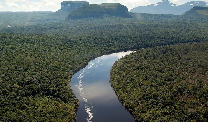Saving the Venezuelan Amazon | Intercontinental Cry