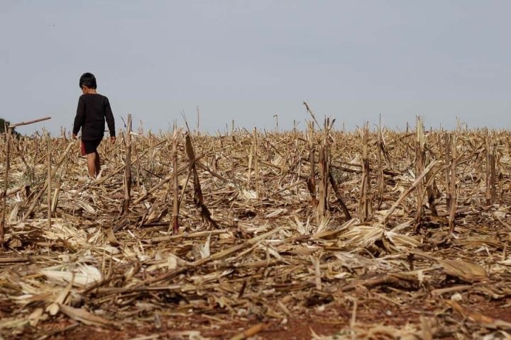 An Indigenous Community In Paraguay Faces One Of The Biggest   MG 8841 720x480 